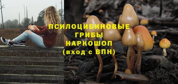 прущая мука Бородино