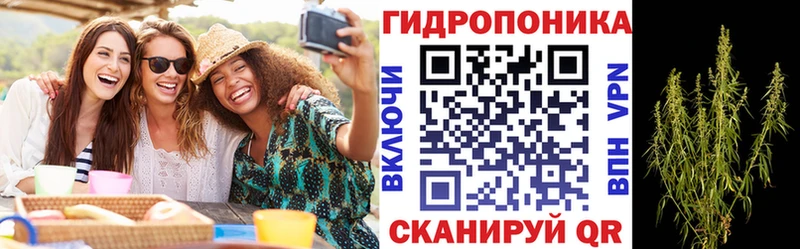Бошки марихуана тримм  даркнет сайт  Гусев 